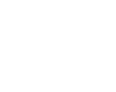 Logo The Insight Group