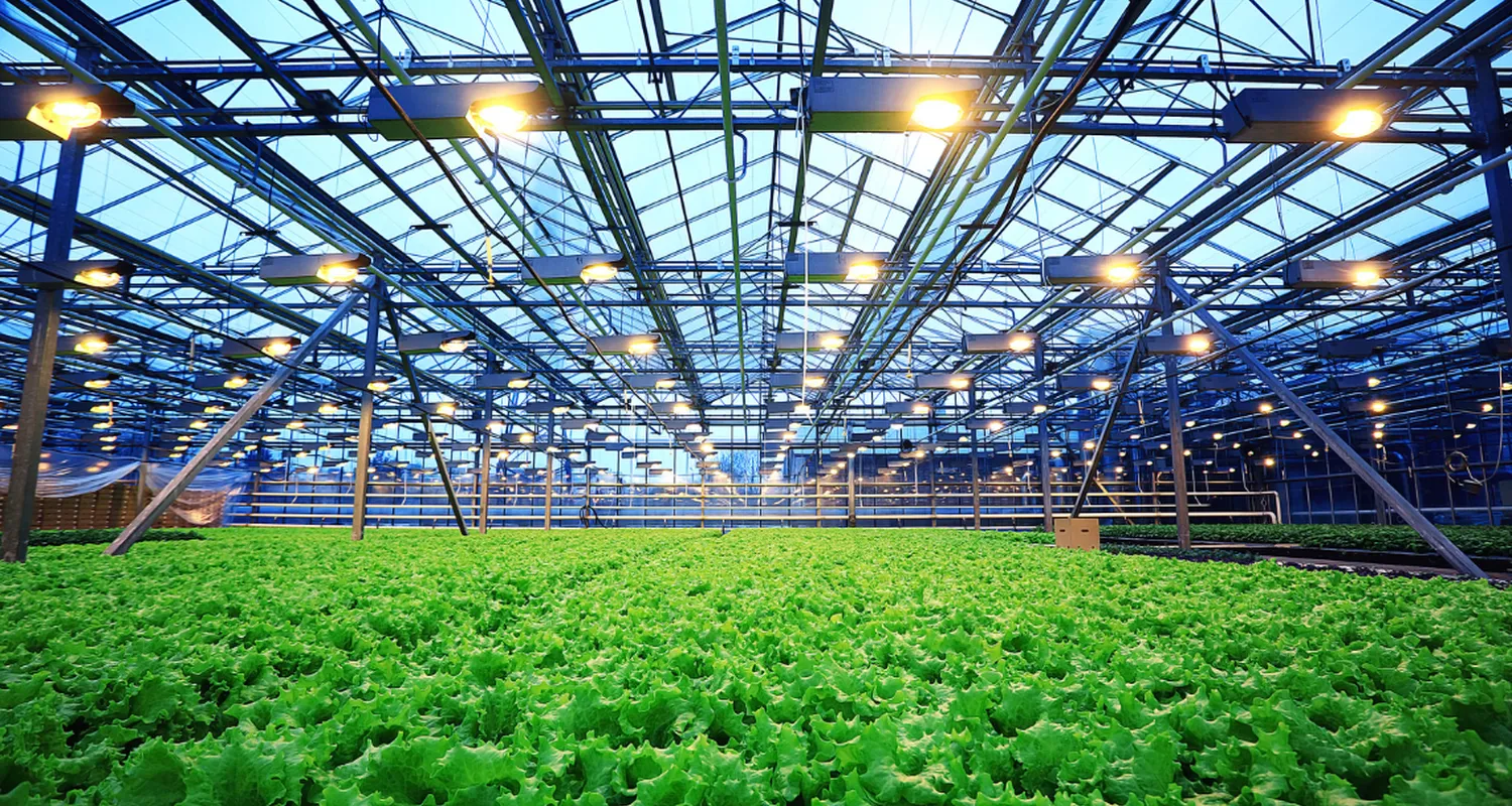Controlled environment agriculture: the future grows here