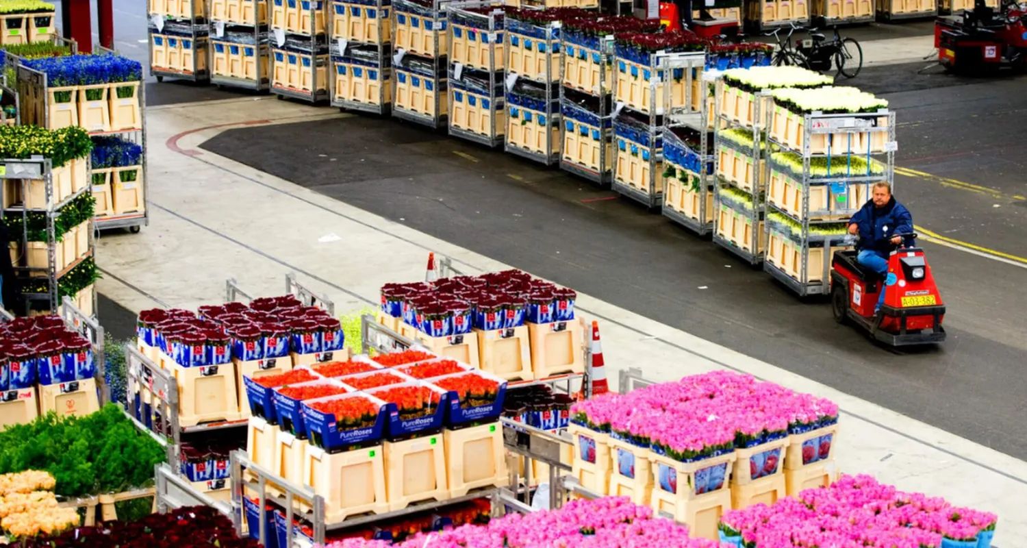 Royal FloraHolland: Global Leader in Floral Trade